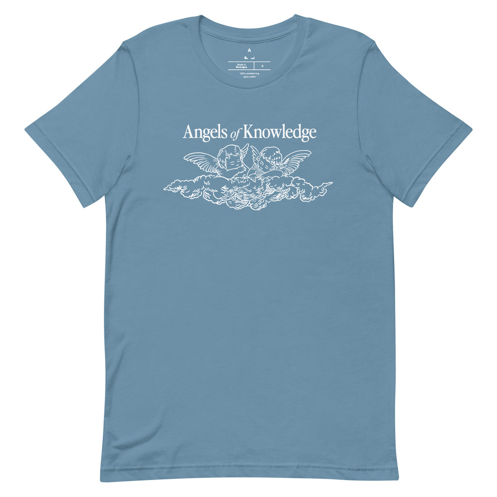 "Angels of Knowledge" Christian Catholic T-Shirt in Steel Blue | PAL Campaign